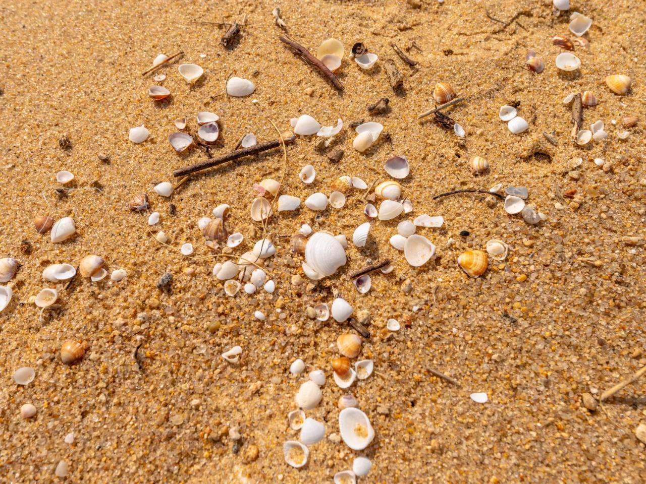 Pousada Pe Na Areia คารากัวตาตูบา ภายนอก รูปภาพ